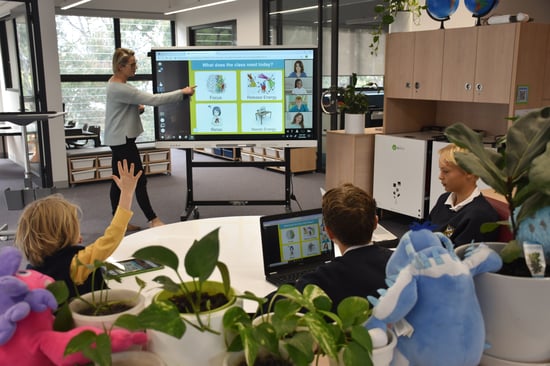 A blended lesson delivery using SMART Learning Suite Online